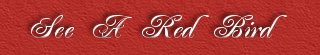 See A Red Bird ~ Shirley Jean Pickens